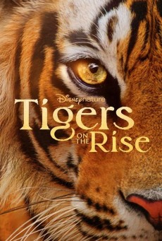 Tiger (2024)