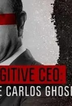 THE CURIOUS CASE OF CARLOS GHOSN (2022) หนี คดีคาร์ลอส กอส์น - ดูหนังออนไลน