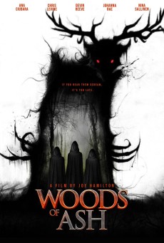 Woods of Ash (2025) วู้ดส์ ออฟ แอช - ดูหนังออนไลน์