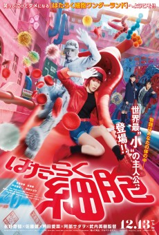 Cells at Work (2025) เซลล์ขยันพันธุ์เดือด - ดูหนังออนไลน์