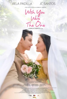 WISH YOU WERE THE ONE (2023) อยากให้เธอเป็นคนนั้น ซับไทย
