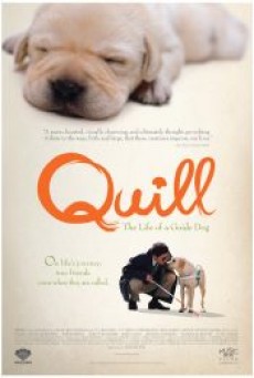 Quill The Life of a Guide Dog (2004) โฮ่งฮับ เจ้าตัวเนี้ยซี้ร้อยเปอร์เซ็นต์ - ดูหนังออนไลน์