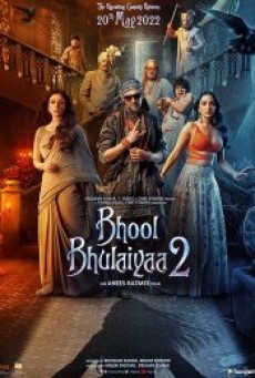 BHOOL BHULAIYAA 2 (2022) คฤหาสน์วิปลาส 2 - ดูหนังออนไลน