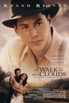 A WALK IN THE CLOUDS (1995) จะขอบูชาหัวใจเธอไว้ที่วิมานเมฆ พากย์ไทย - ดูหนังออนไลน์