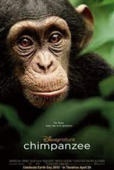 Chimpanzee (2012) ชิมแปนซี ผจญภัยในป่ากว้าง - ดูหนังออนไลน