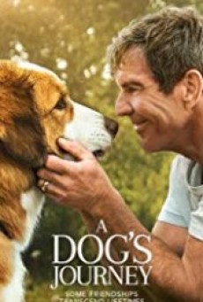 A Dog’s Journey (2019) หมา เป้าหมาย และเด็กชายของผม 2 - ดูหนังออนไลน