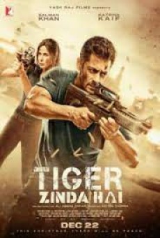 Tiger Zinda Hai (2017) ไทเกอร์ยังอยู่ - ดูหนังออนไลน